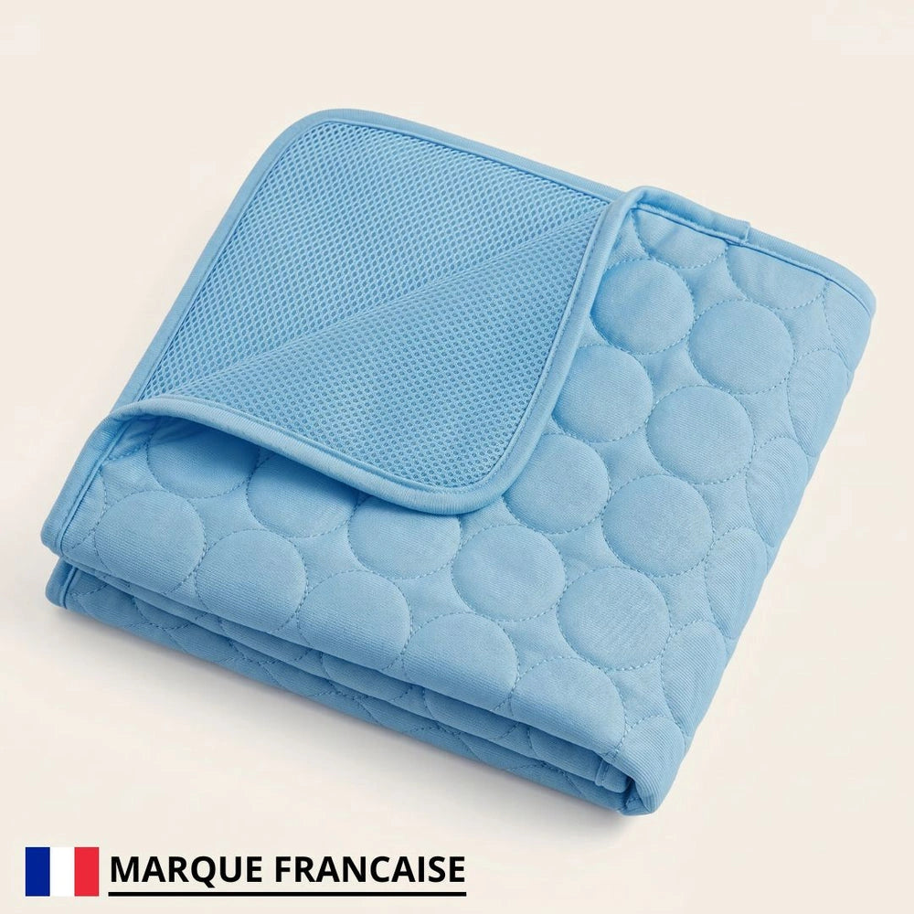 Tapis Rafraîchissant pour chien Maelune