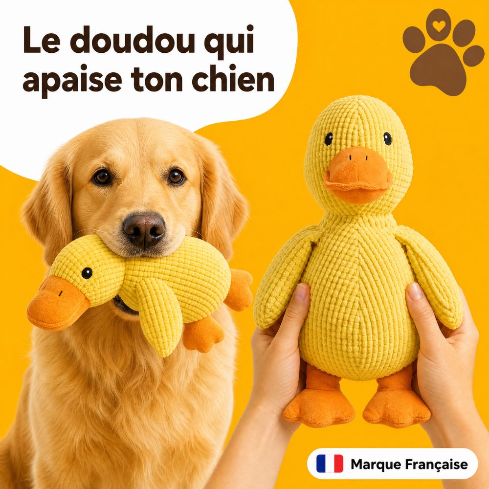 LE CANARD ZEN™ — Jouet apaisant pour chien