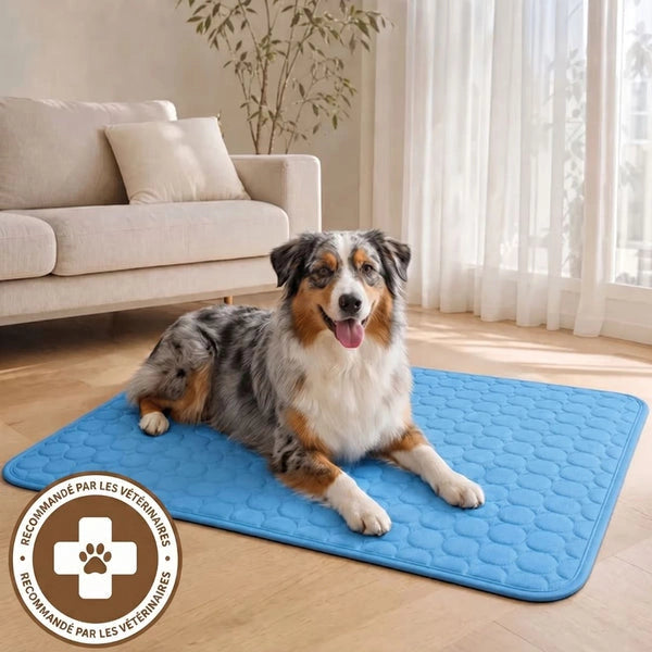 Tapis Rafraîchissant pour chien Maelune