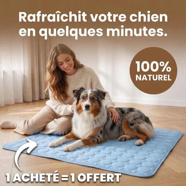 Tapis Rafraîchissant pour chien Maelune