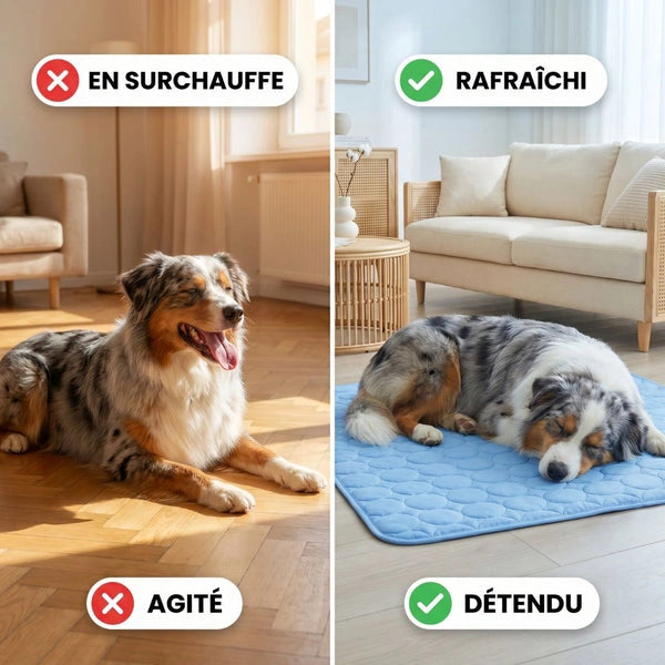 Tapis Rafraîchissant pour chien Maelune