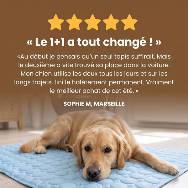 Tapis Rafraîchissant pour chien Maelune