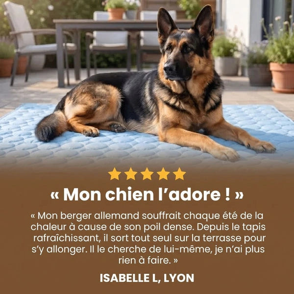 Tapis Rafraîchissant pour chien Maelune
