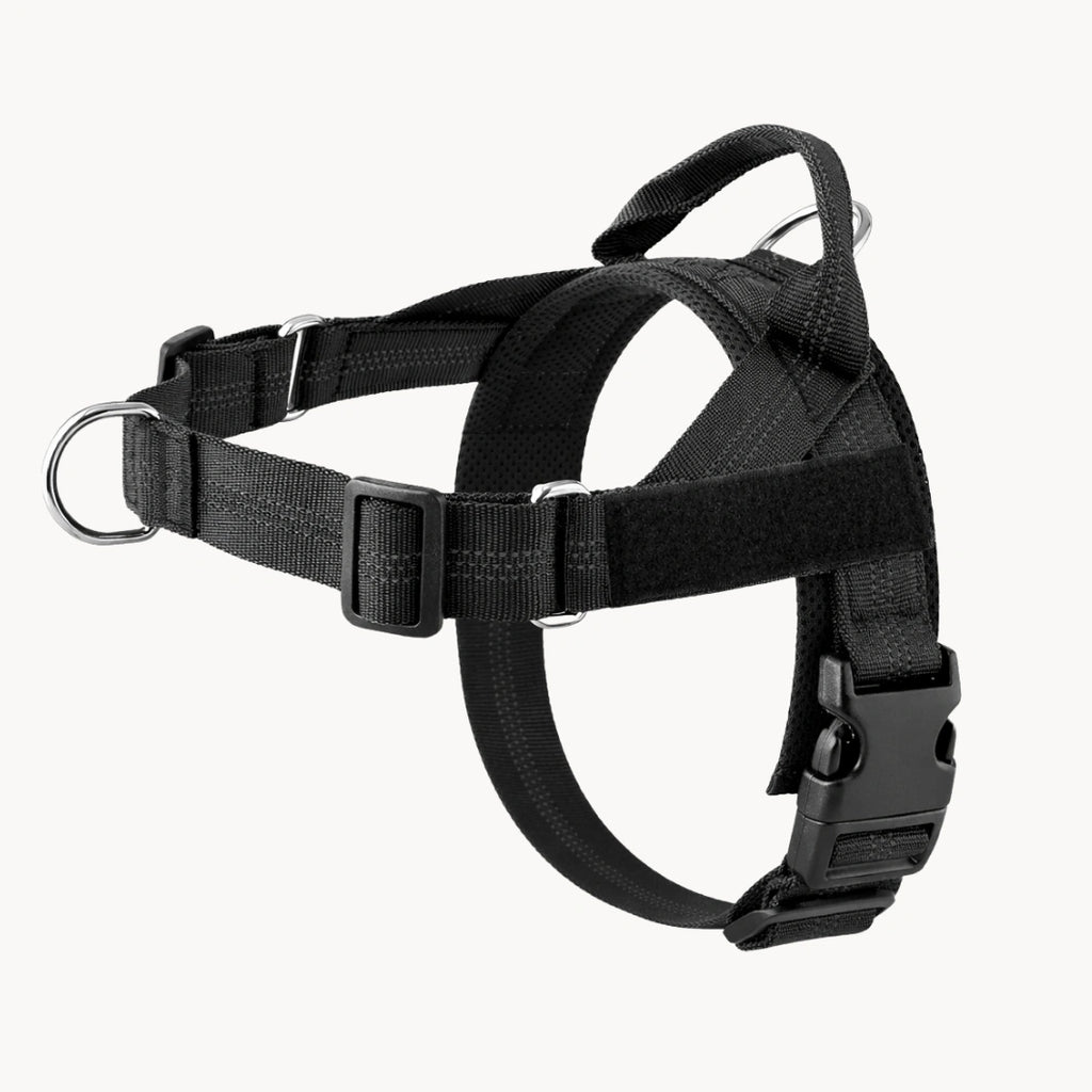 Harnais anti-traction pour chien MAELUNE