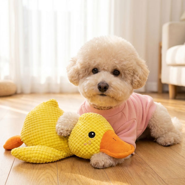 LE CANARD ZEN™ — Jouet apaisant pour chien