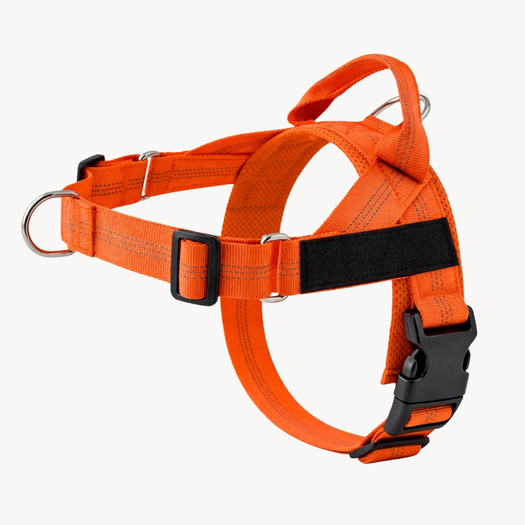 Harnais anti-traction pour chien MAELUNE