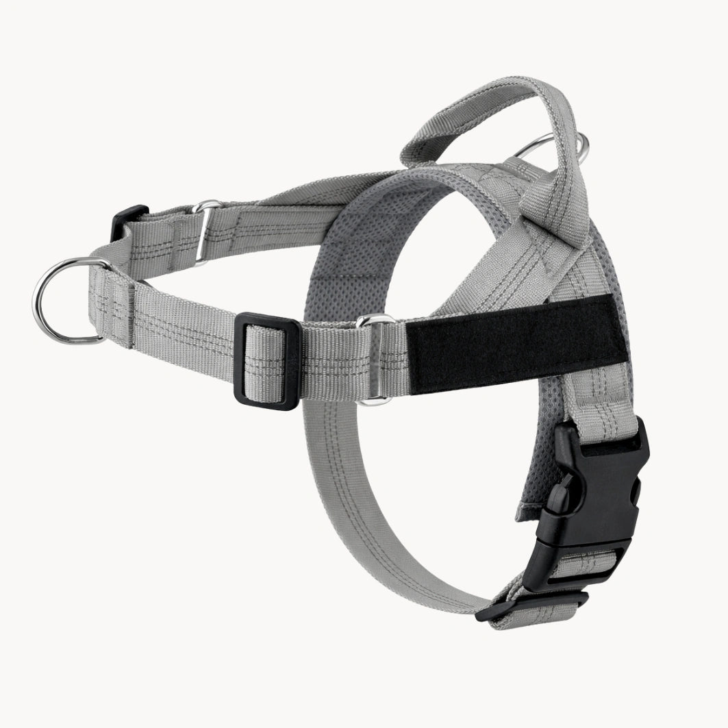 Harnais anti-traction pour chien MAELUNE