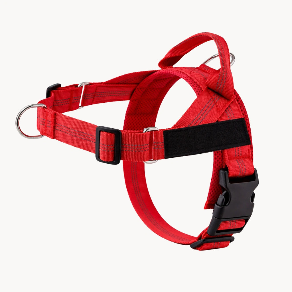 Harnais anti-traction pour chien MAELUNE