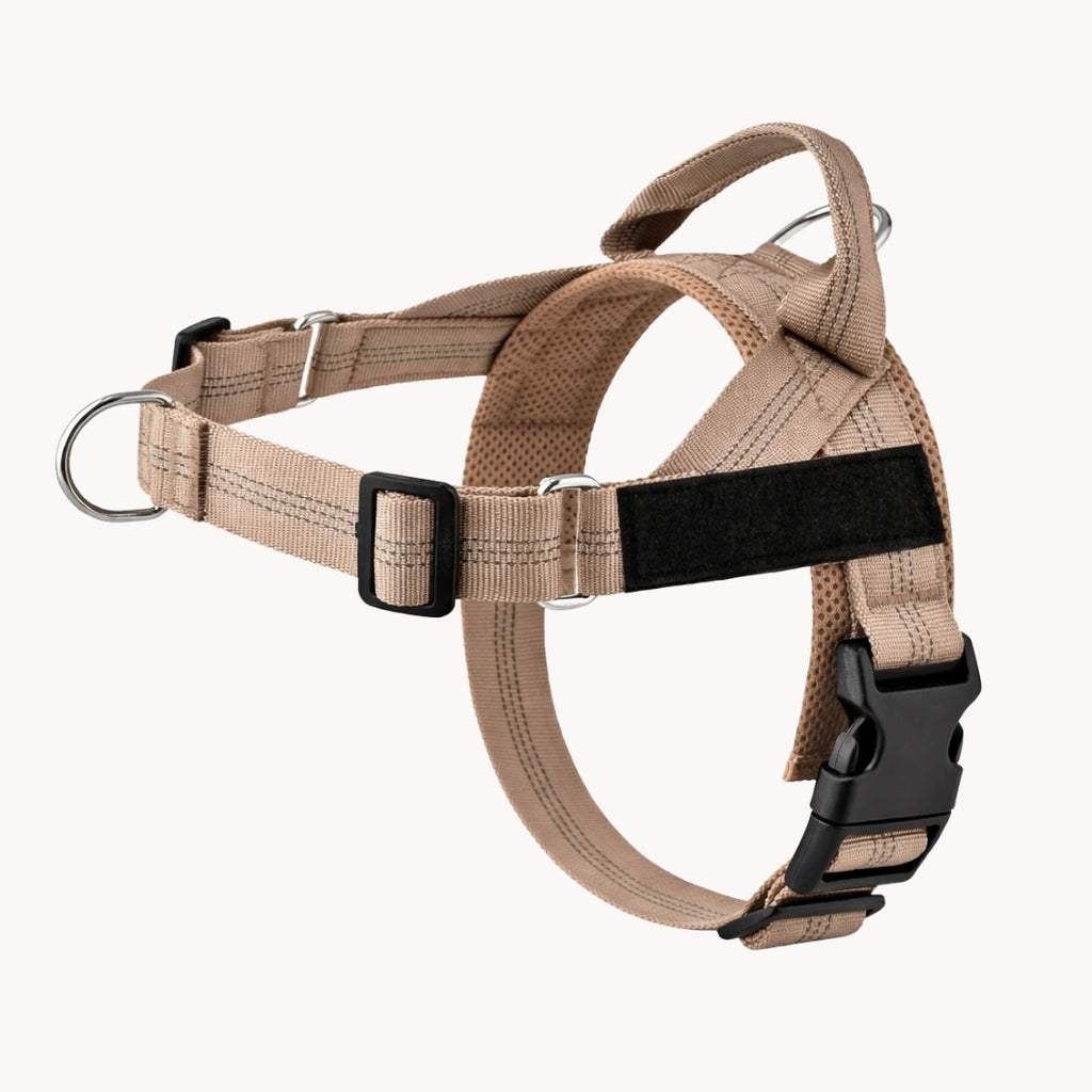 Harnais anti-traction pour chien MAELUNE