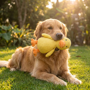 LE CANARD ZEN™ — Jouet apaisant pour chien