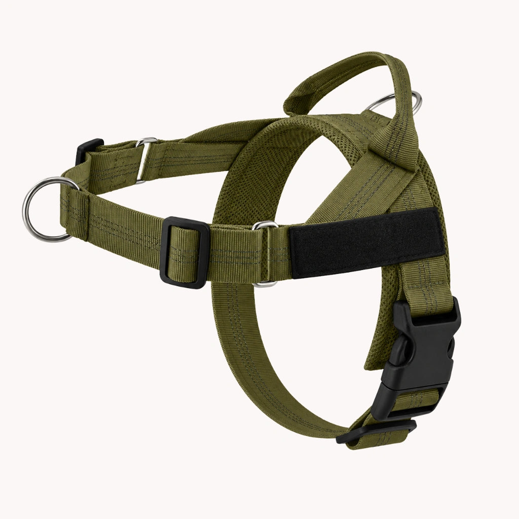 Harnais anti-traction pour chien MAELUNE