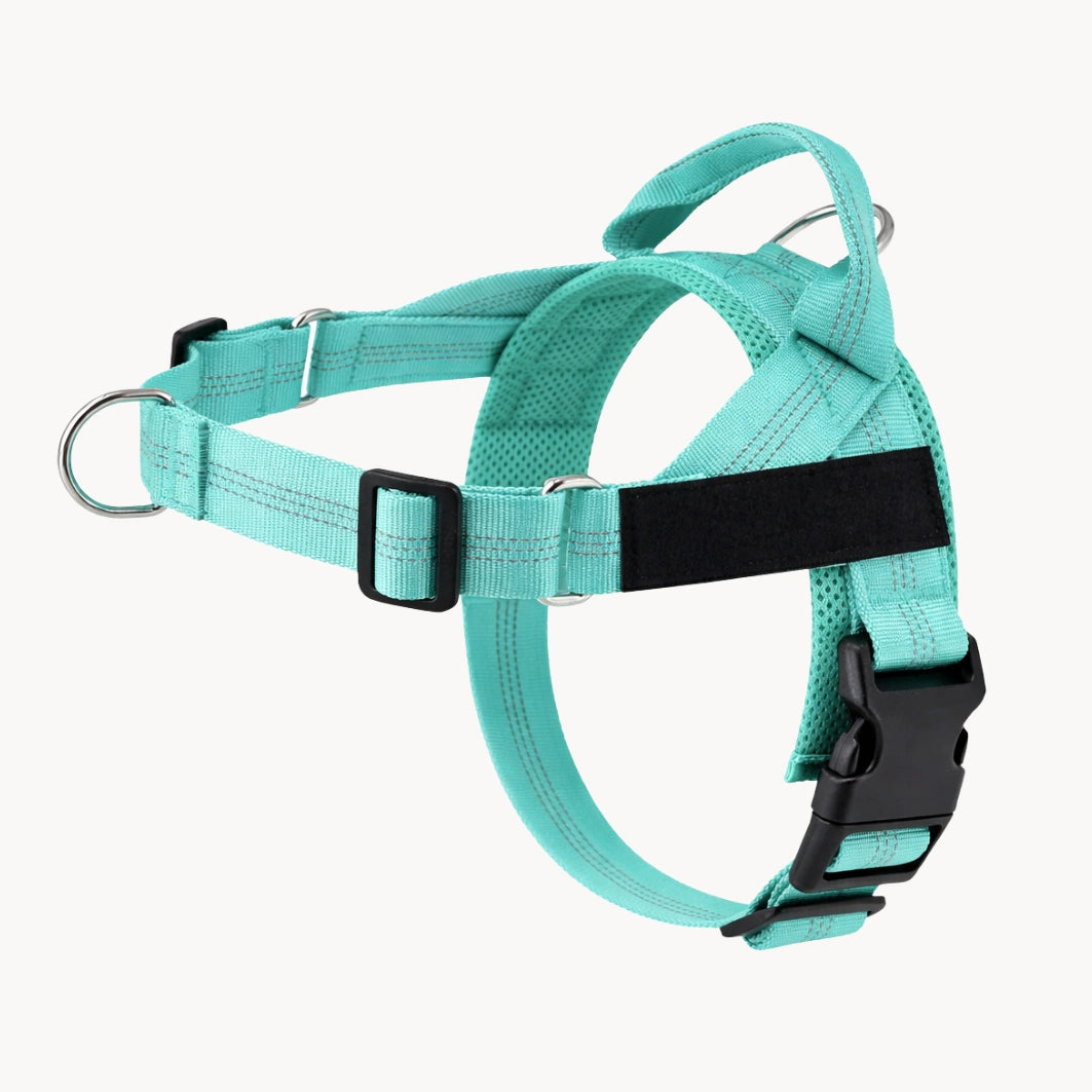 Harnais anti-traction pour chien MAELUNE