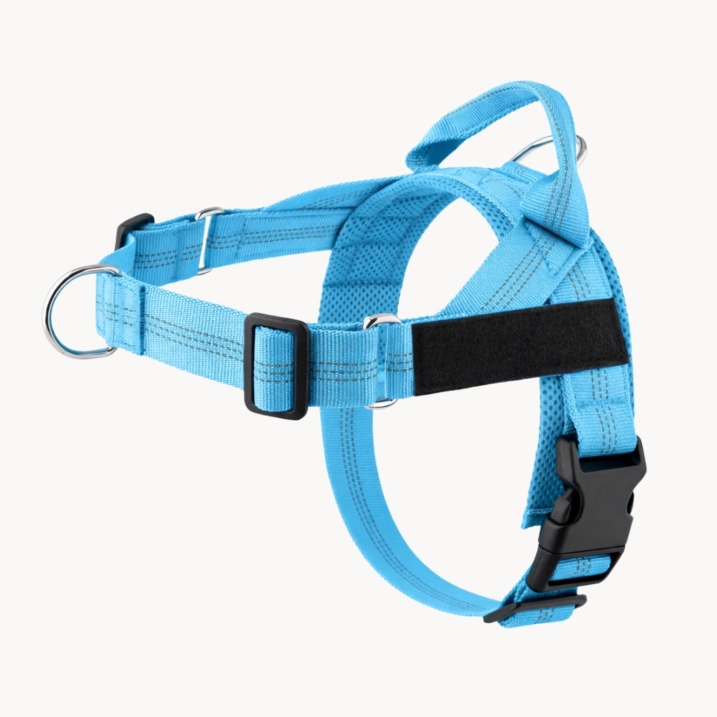 Harnais anti-traction pour chien MAELUNE