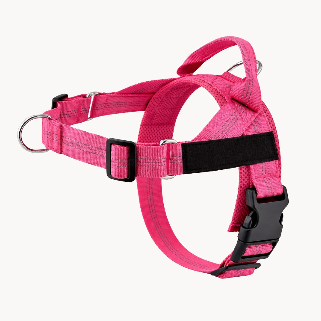 Harnais anti-traction pour chien MAELUNE