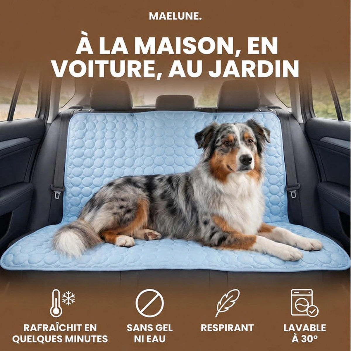 Tapis Rafraîchissant pour chien Maelune