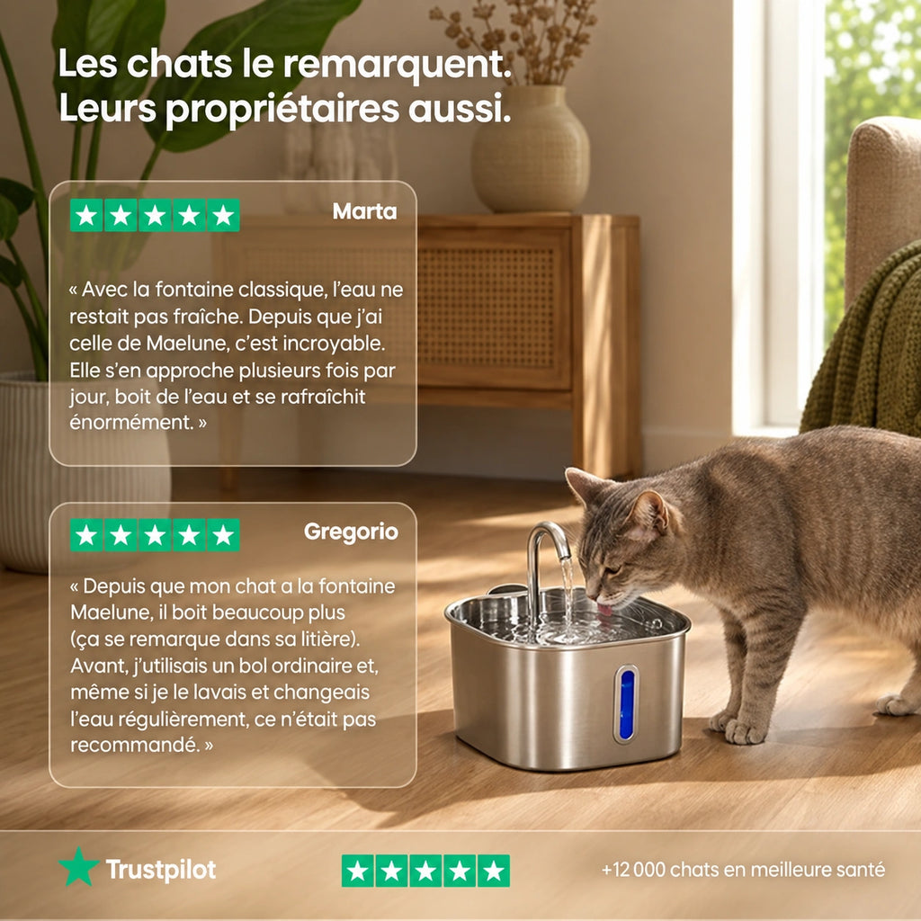 Protégez votre chat de la déshydratation et des problèmes urinaires avec Maelune