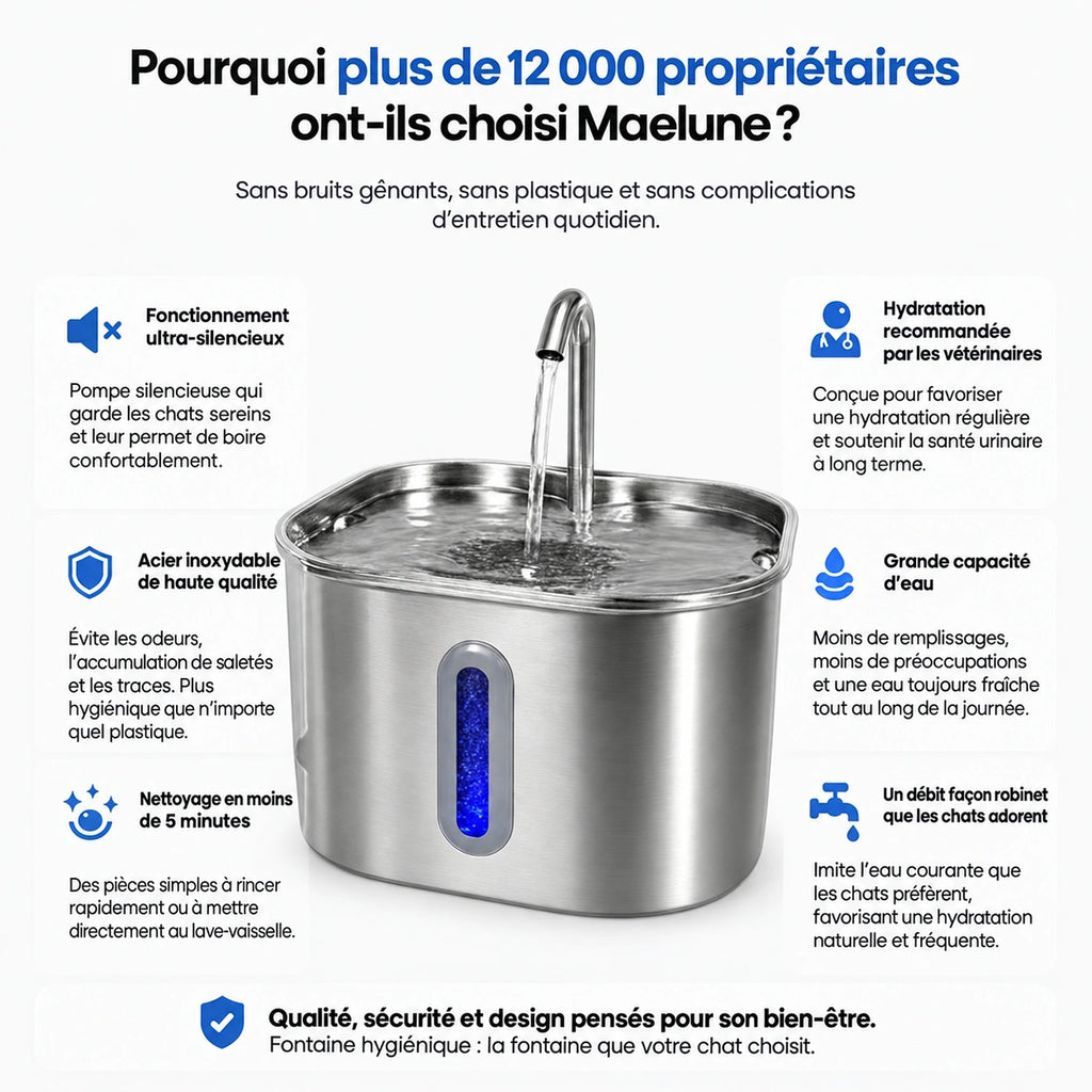 Protégez votre chat de la déshydratation et des problèmes urinaires avec Maelune