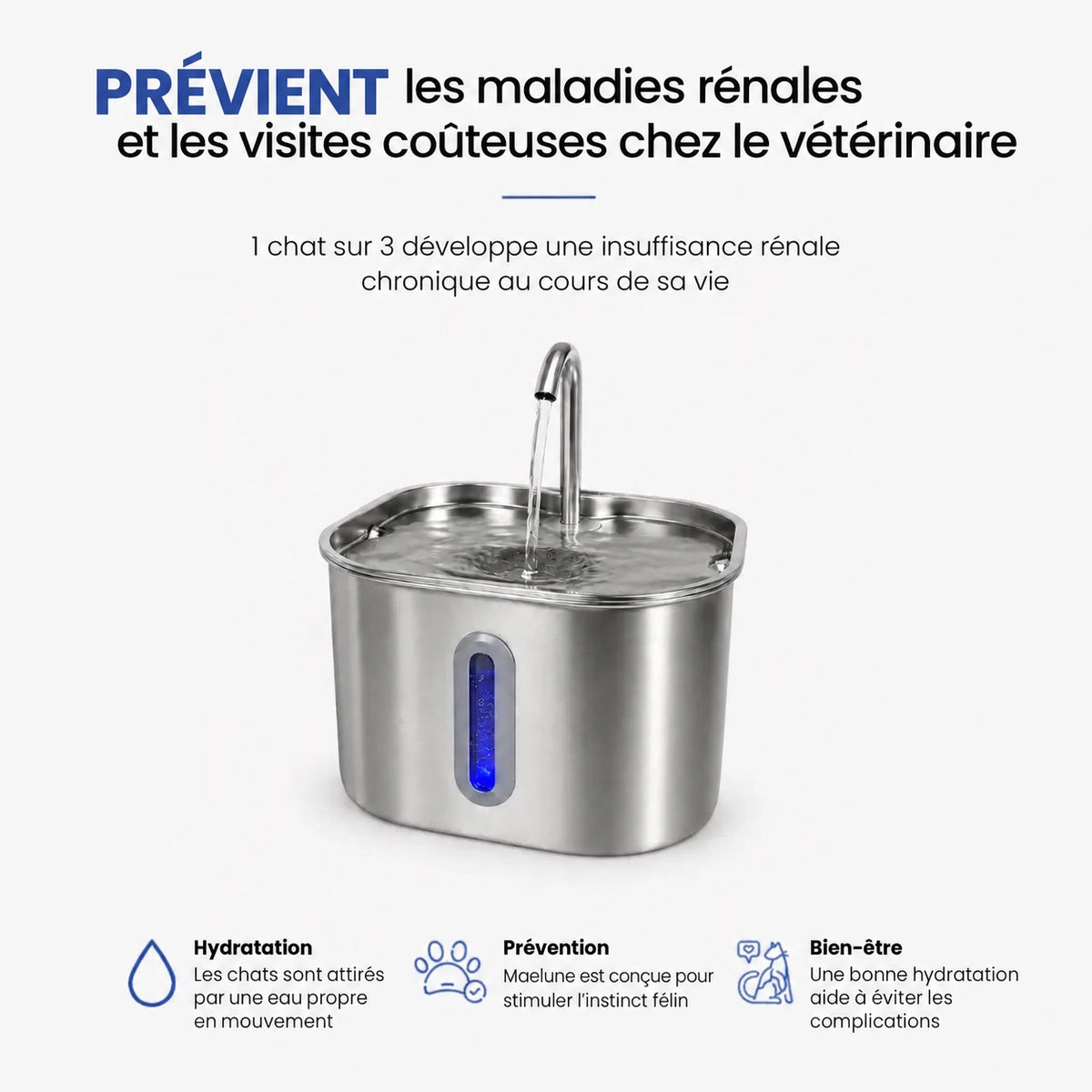 Protégez votre chat de la déshydratation et des problèmes urinaires avec Maelune