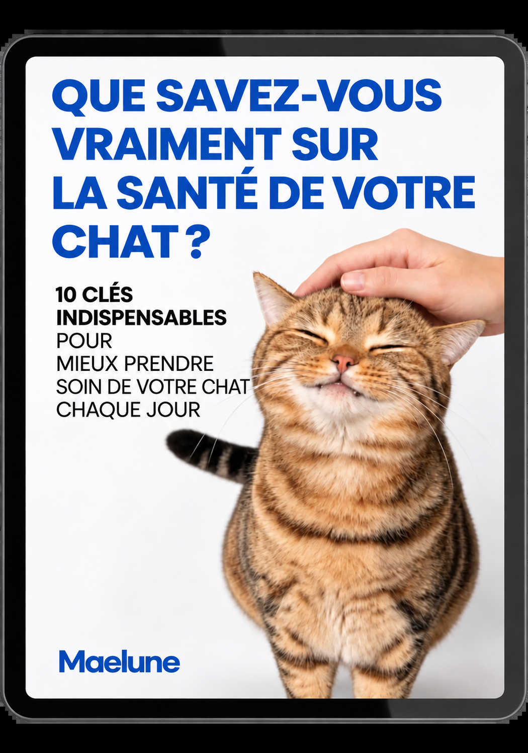 Que savez-vous vraiment de la santé de votre chat ? : 10 clés essentielles pour mieux prendre soin de votre chat au quotidien