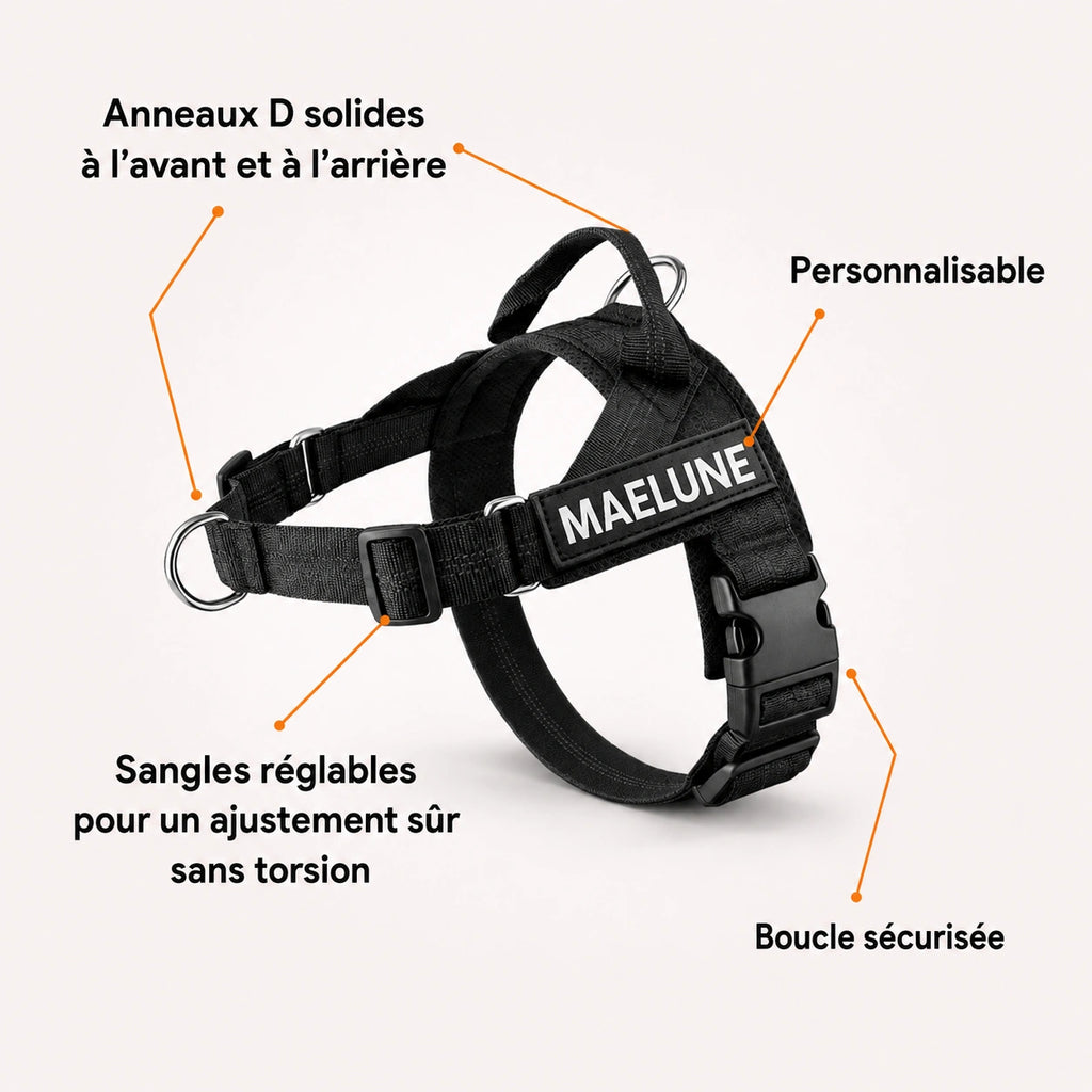 Harnais anti-traction pour chien MAELUNE