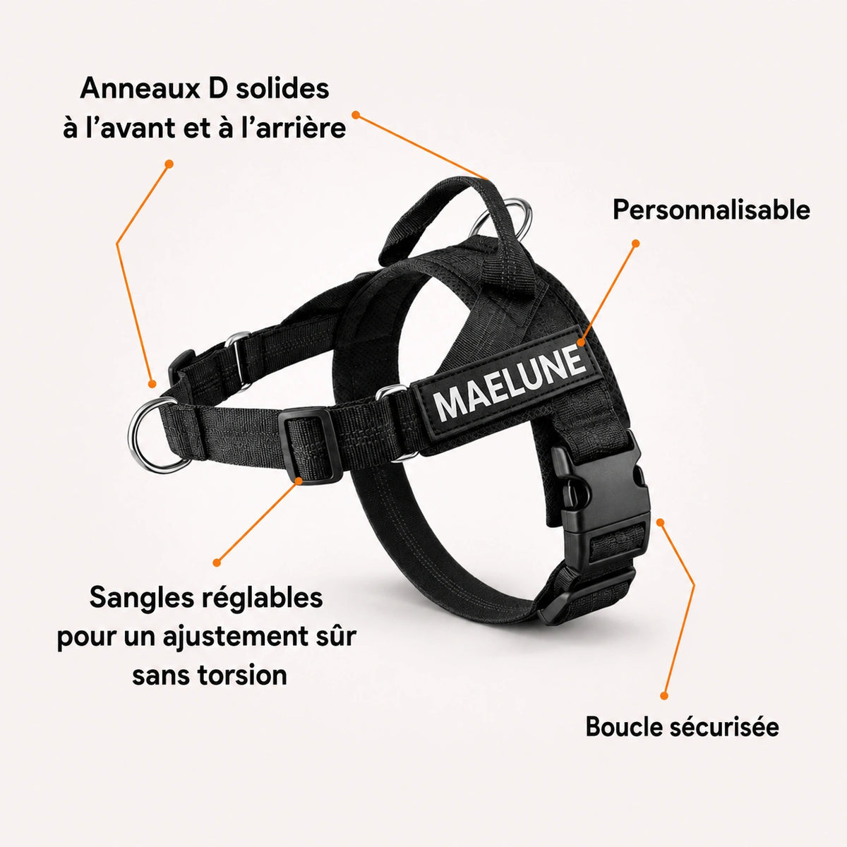 Harnais anti-traction pour chien MAELUNE