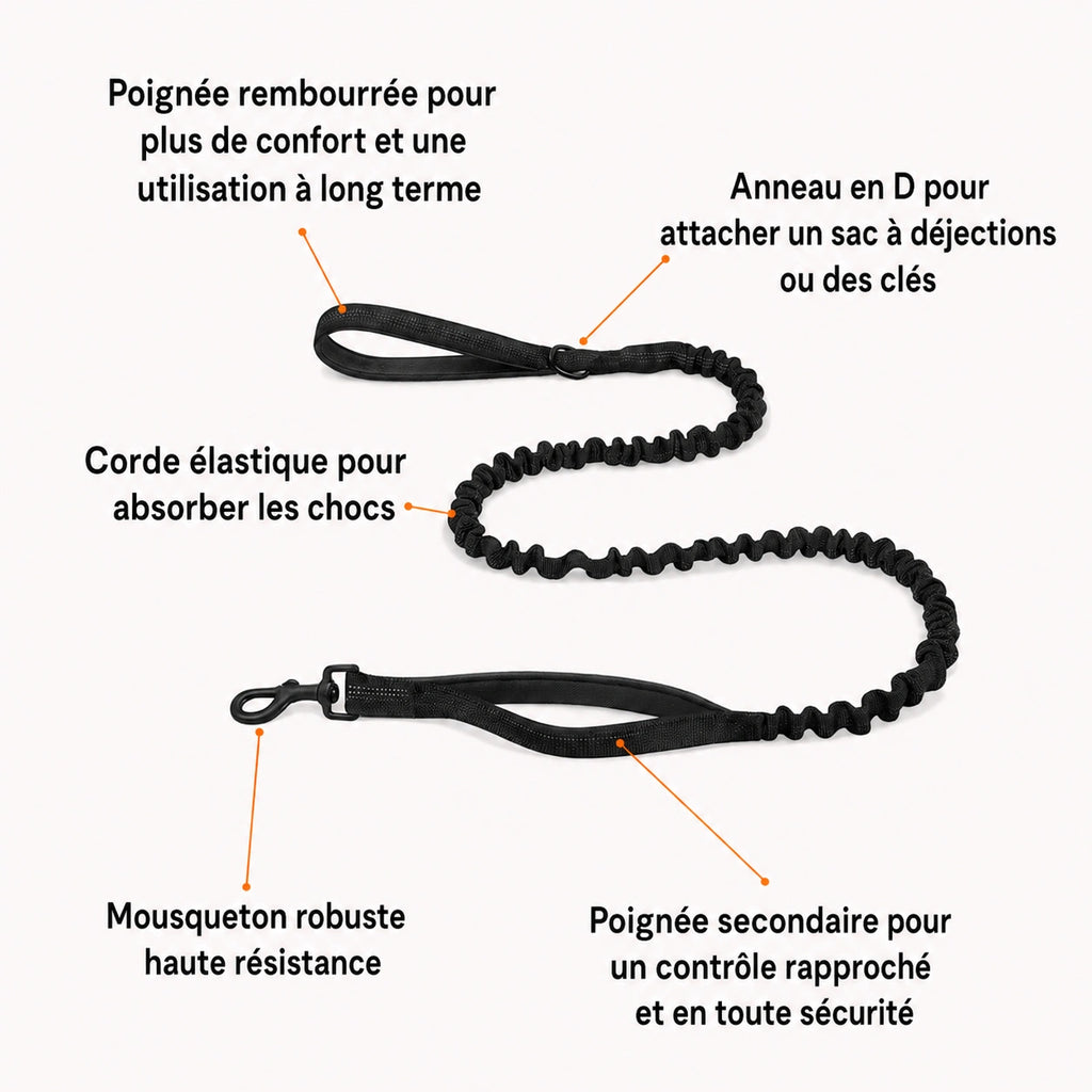 Harnais anti-traction pour chien MAELUNE