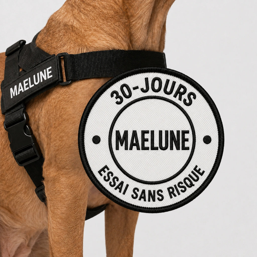 Harnais anti-traction pour chien MAELUNE