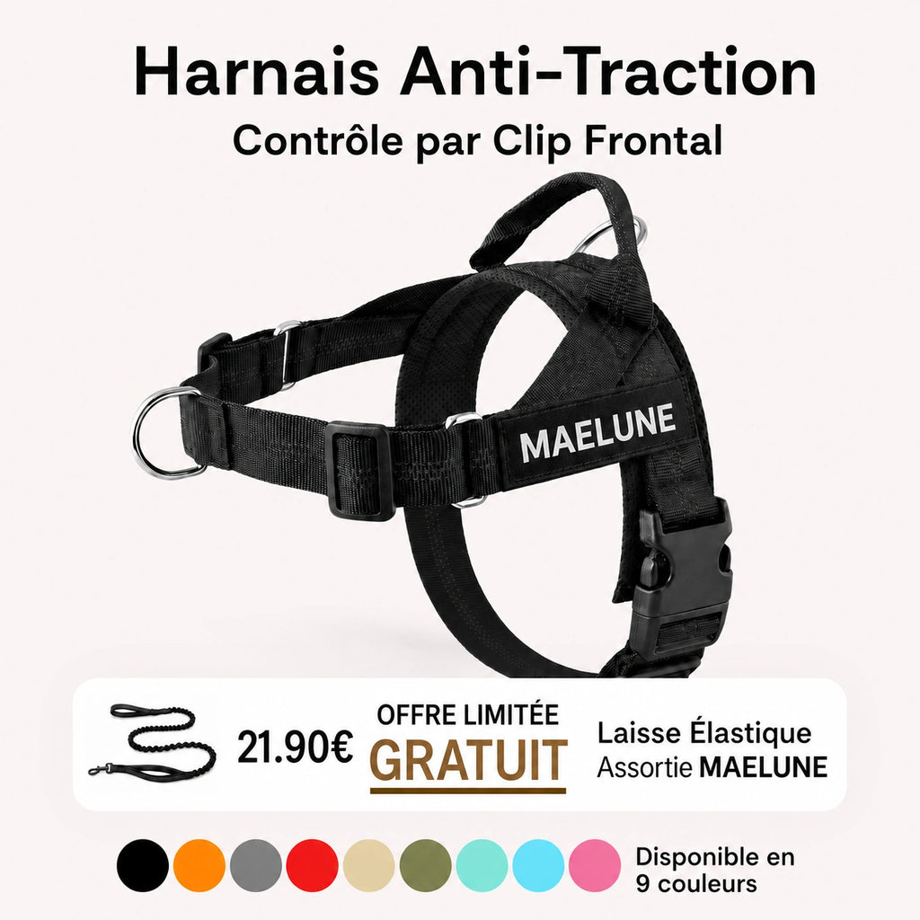Harnais anti-traction pour chien MAELUNE