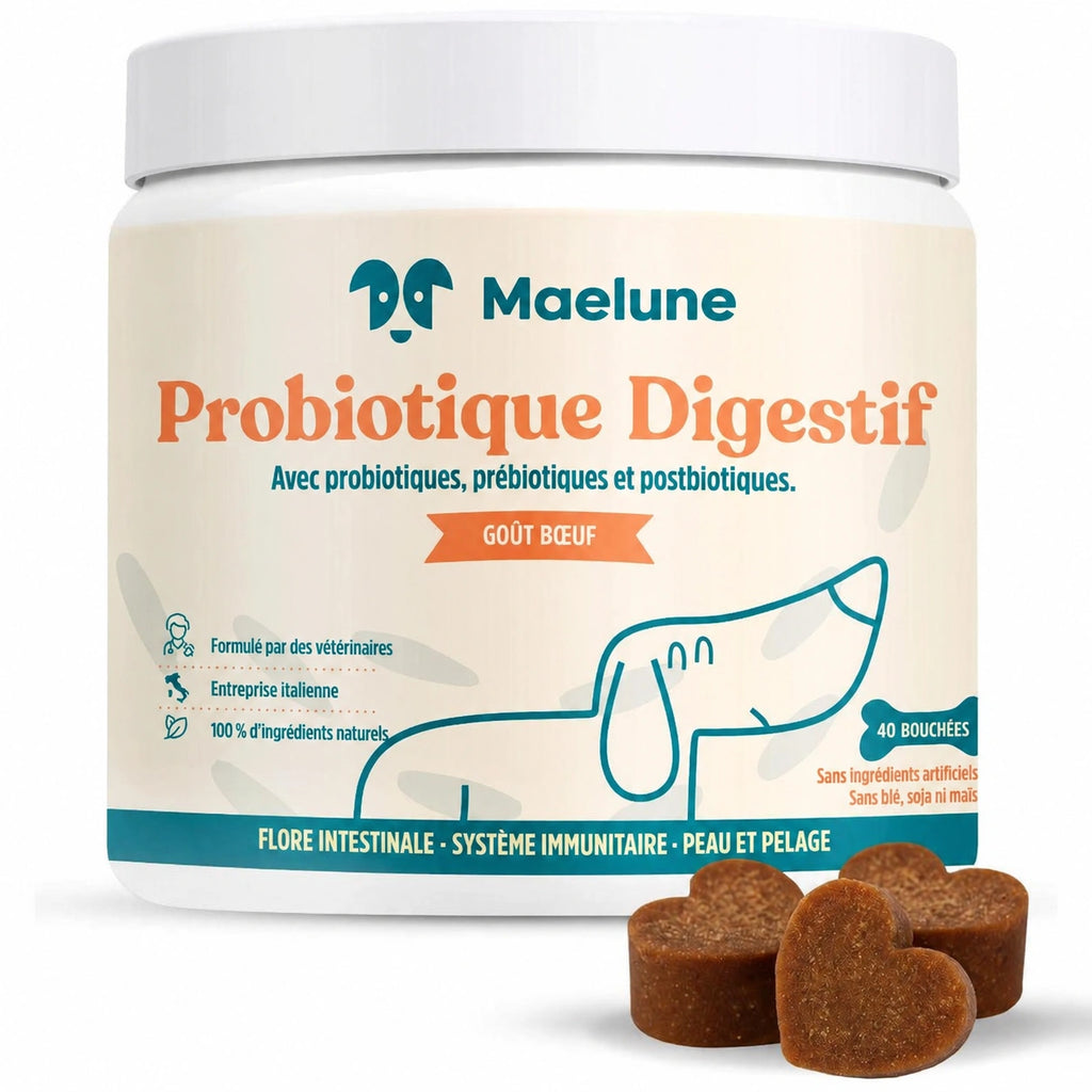 Probiotique digestif