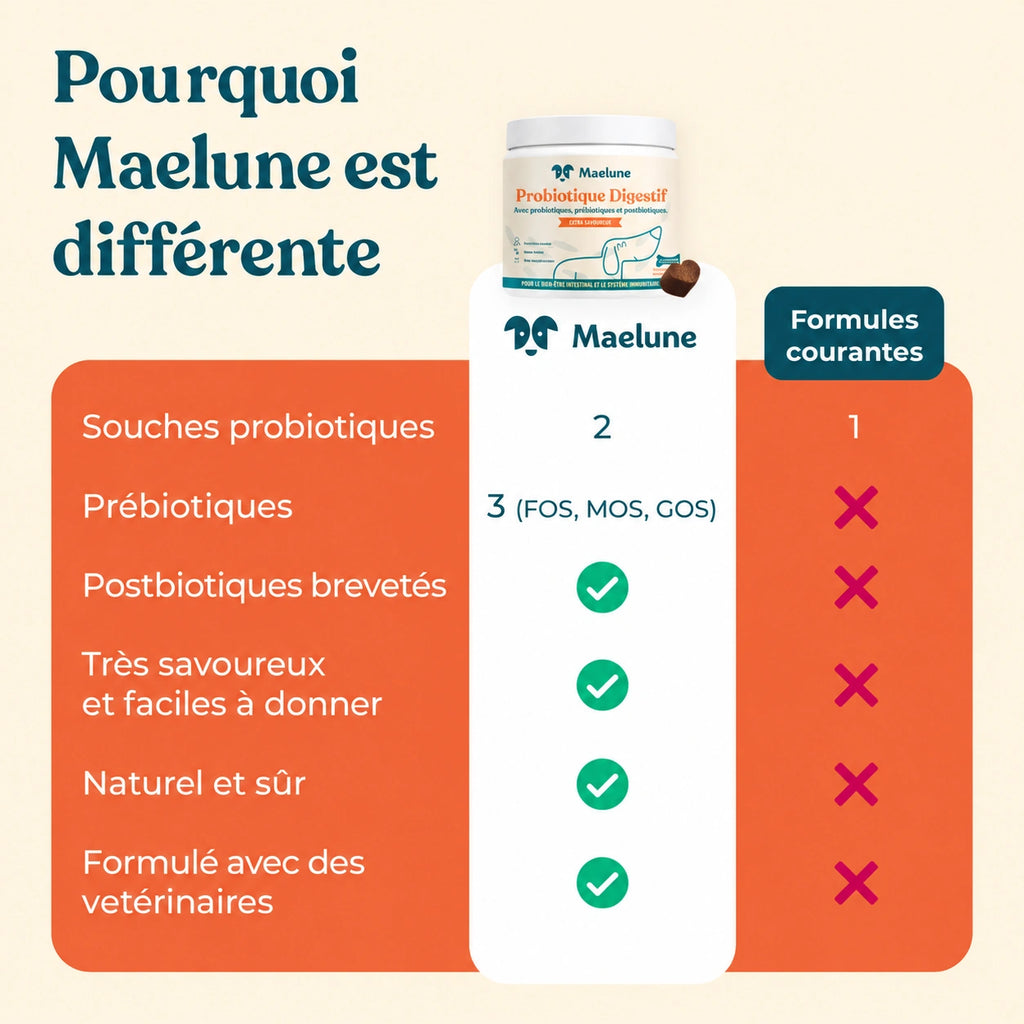 Probiotique digestif