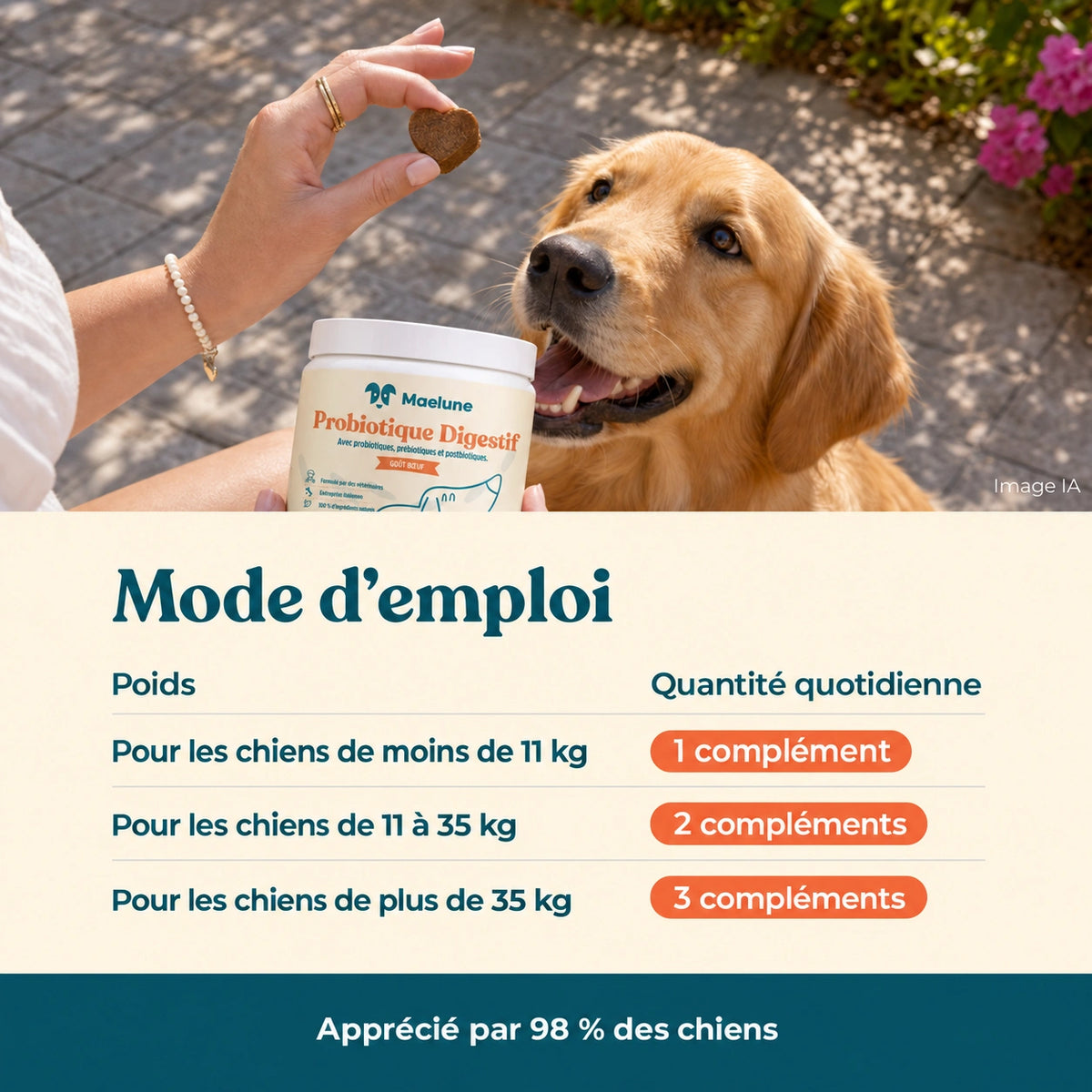 Probiotique digestif