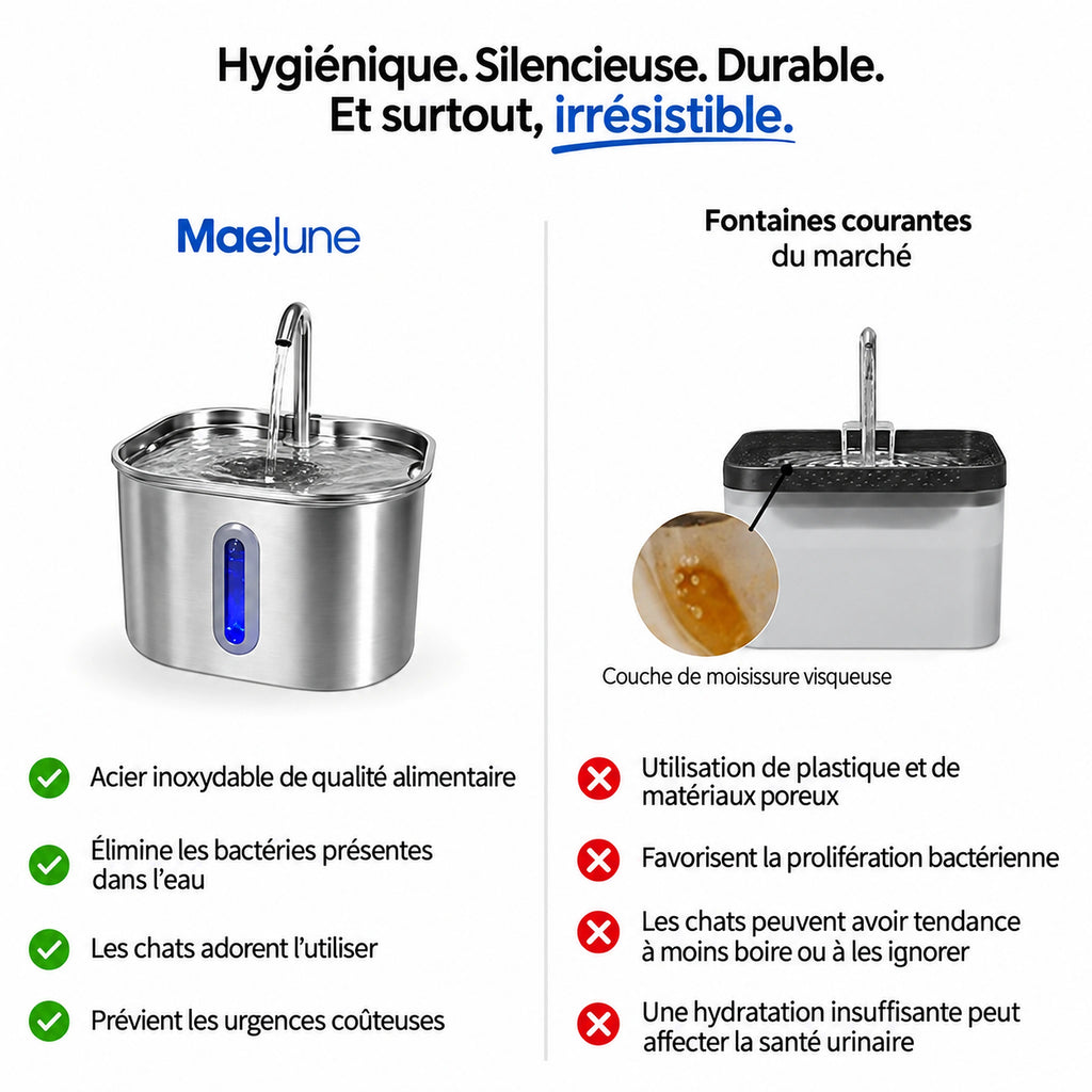 Protégez votre chat de la déshydratation et des problèmes urinaires avec Maelune