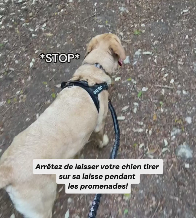 Vidéo